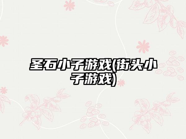 圣石小子游戏(街头小子游戏)