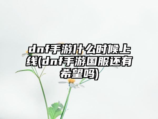 dnf手游什么时候上线(dnf手游国服还有希望吗)