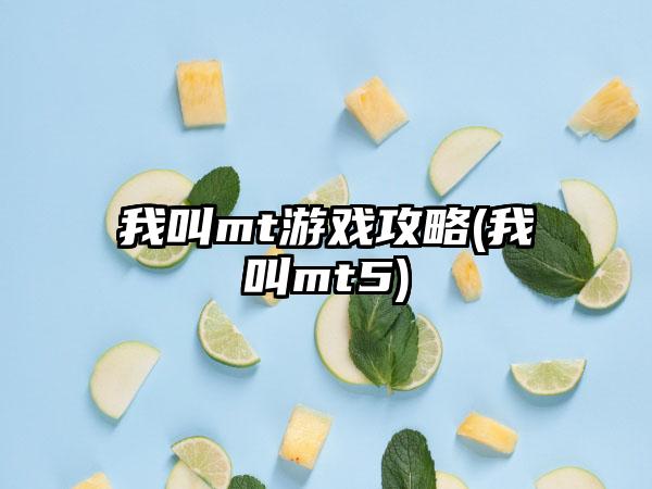 我叫mt游戏攻略(我叫mt5)