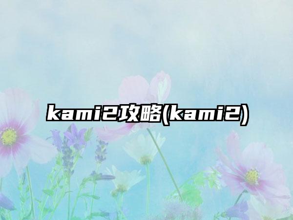 kami2攻略(kami2)