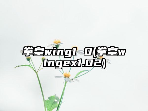 拳皇wing1 0(拳皇wingex1.02)