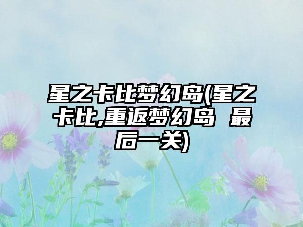 星之卡比梦幻岛(星之卡比,重返梦幻岛 最后一关)
