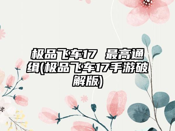 极品飞车17 最高通缉(极品飞车17手游破解版)