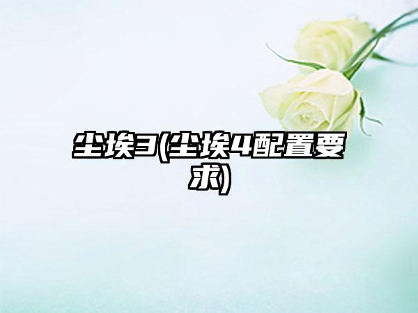 尘埃3(尘埃4配置要求)