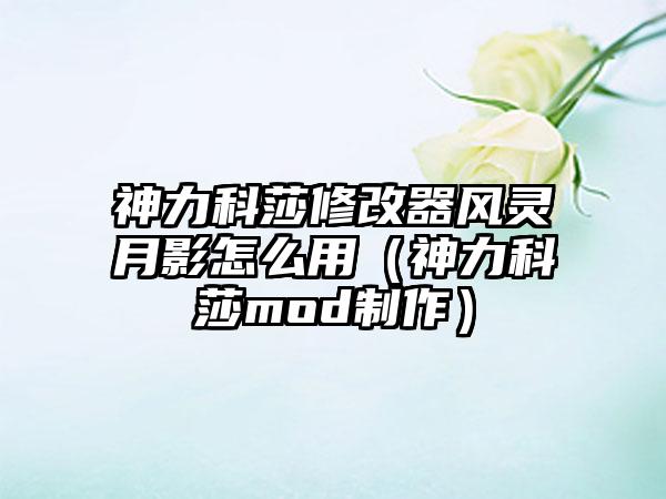 神力科莎修改器风灵月影怎么用（神力科莎mod制作）