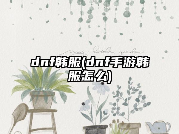 dnf韩服(dnf手游韩服怎么)