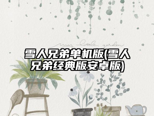 雪人兄弟单机版(雪人兄弟经典版安卓版)