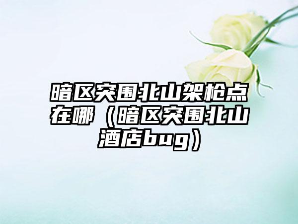 暗区突围北山架枪点在哪（暗区突围北山酒店bug）