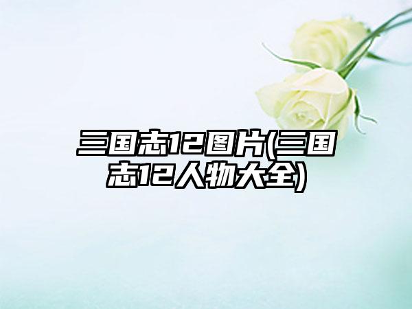 三国志12图片(三国志12人物大全)
