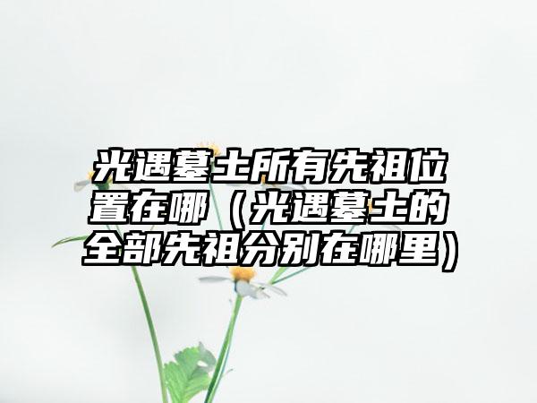 光遇墓土所有先祖位置在哪（光遇墓土的全部先祖分别在哪里）