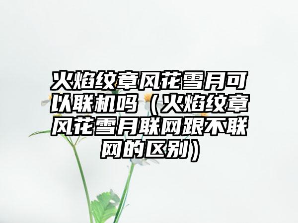 火焰纹章风花雪月可以联机吗（火焰纹章风花雪月联网跟不联网的区别）