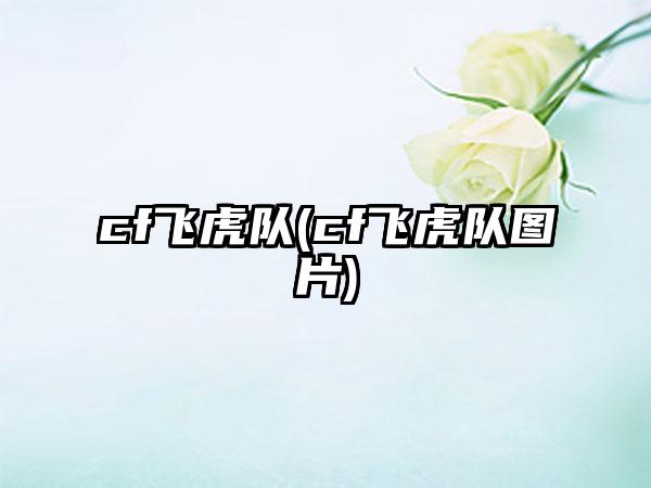 cf飞虎队(cf飞虎队图片)