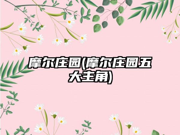 摩尔庄园(摩尔庄园五大主角)