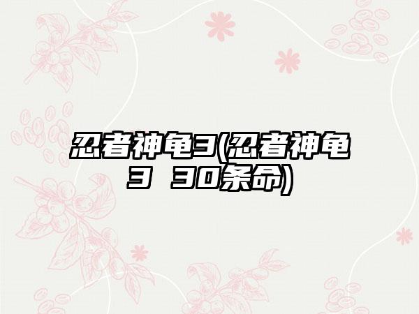 忍者神龟3(忍者神龟3 30条命)