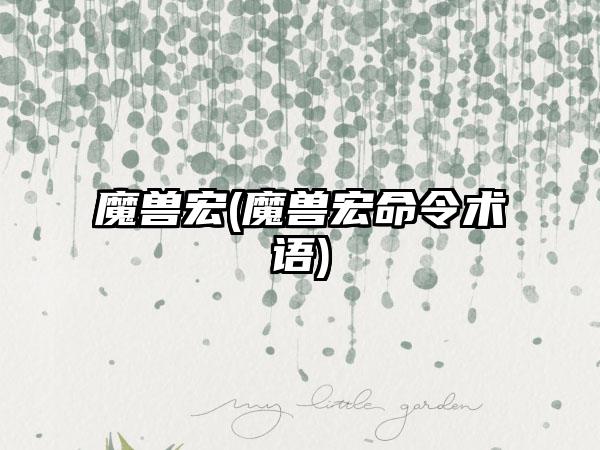 魔兽宏(魔兽宏命令术语)