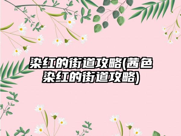 染红的街道攻略(茜色染红的街道攻略)