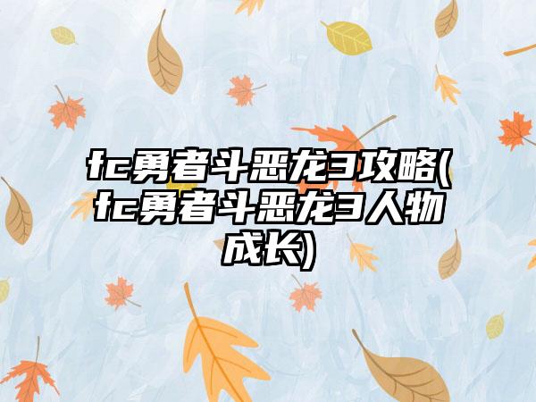 fc勇者斗恶龙3攻略(fc勇者斗恶龙3人物成长)