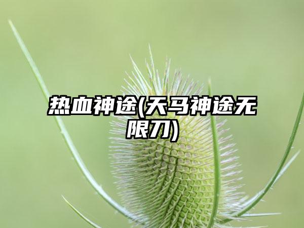 热血神途(天马神途无限刀)