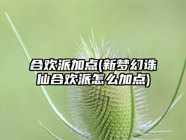 合欢派加点(新梦幻诛仙合欢派怎么加点)