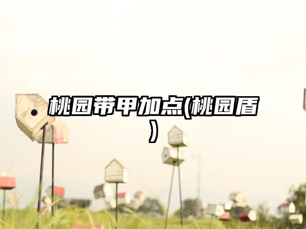 桃园带甲加点(桃园盾)