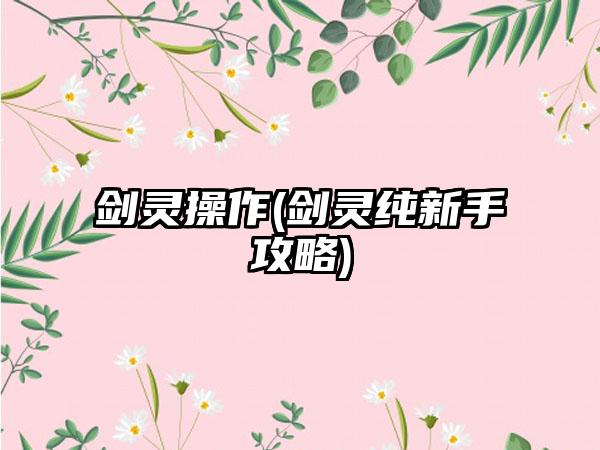 剑灵操作(剑灵纯新手攻略)