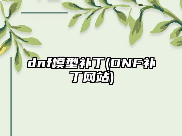 dnf模型补丁(DNF补丁网站)