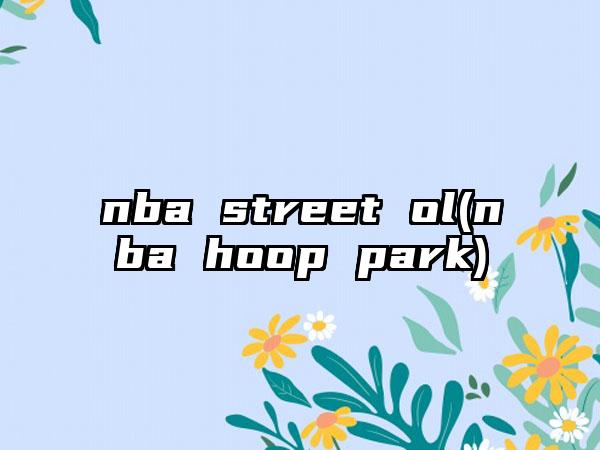 nba street ol(nba hoop park)