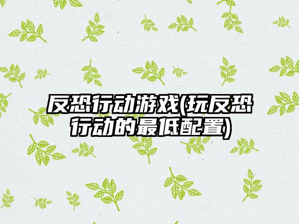 反恐行动游戏(玩反恐行动的最低配置)