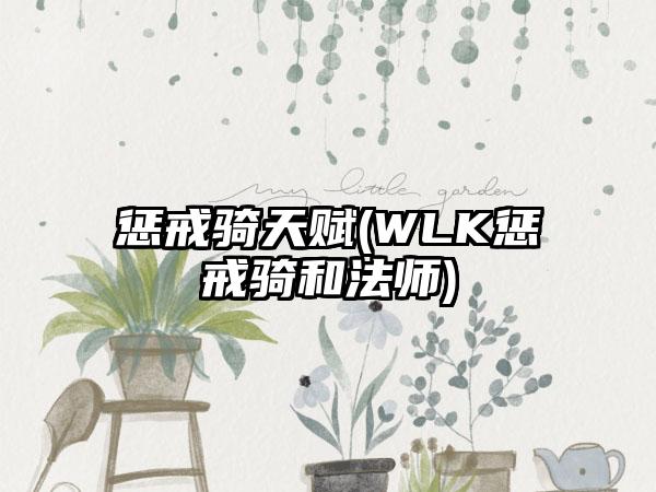惩戒骑天赋(WLK惩戒骑和法师)