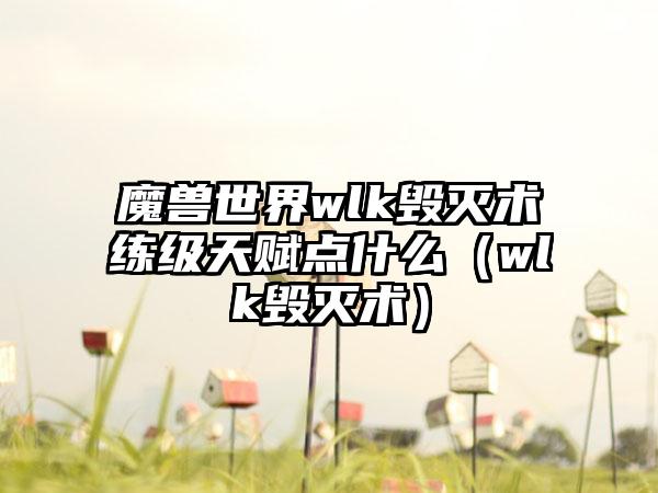 魔兽世界wlk毁灭术练级天赋点什么（wlk毁灭术）