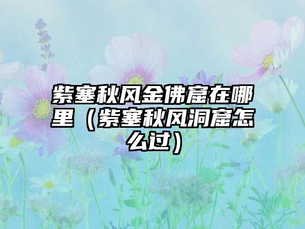 紫塞秋风金佛窟在哪里（紫塞秋风洞窟怎么过）