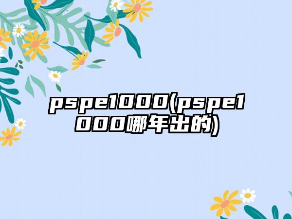 pspe1000(pspe1000哪年出的)