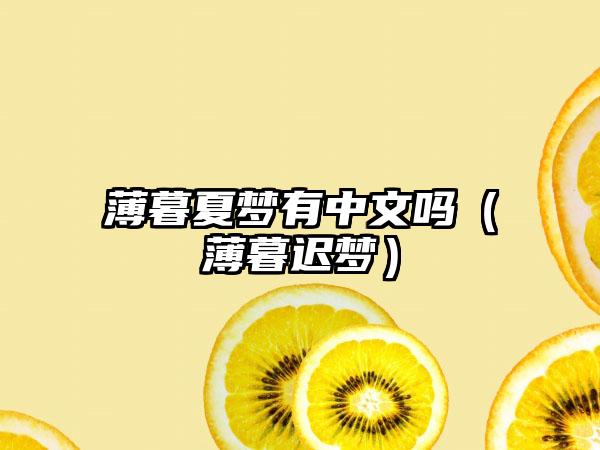 薄暮夏梦有中文吗（薄暮迟梦）