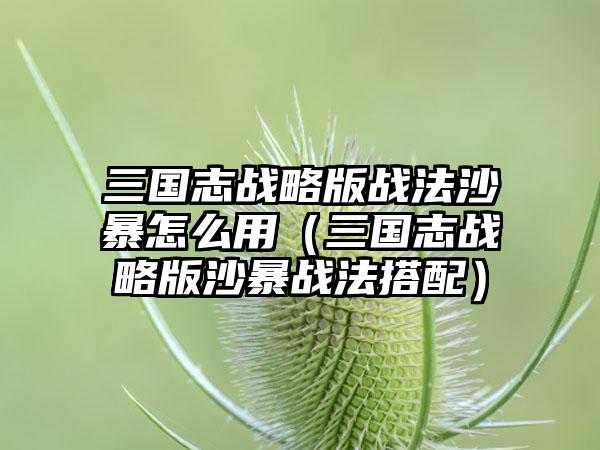 三国志战略版战法沙暴怎么用（三国志战略版沙暴战法搭配）