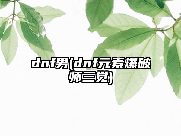 dnf男(dnf元素爆破师三觉)