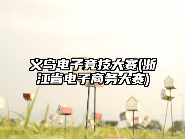 义乌电子竞技大赛(浙江省电子商务大赛)