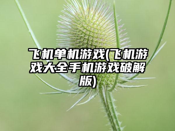 飞机单机游戏(飞机游戏大全手机游戏破解版)
