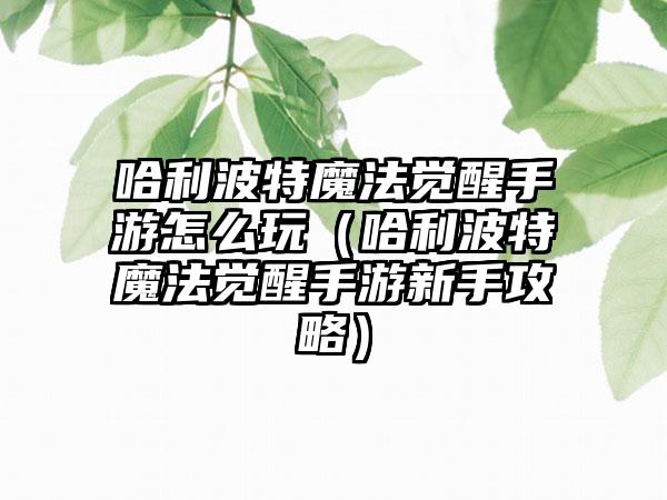 哈利波特魔法觉醒手游怎么玩（哈利波特魔法觉醒手游新手攻略）