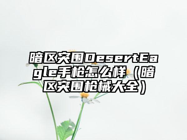 暗区突围DesertEagle手枪怎么样（暗区突围枪械大全）