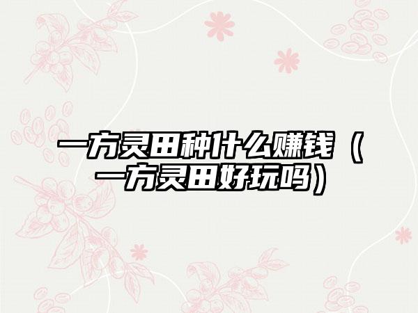 一方灵田种什么赚钱（一方灵田好玩吗）