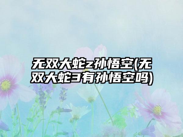 无双大蛇z孙悟空(无双大蛇3有孙悟空吗)