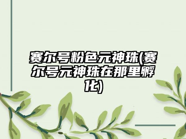 赛尔号粉色元神珠(赛尔号元神珠在那里孵化)