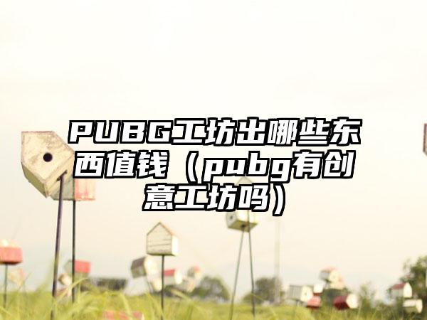 PUBG工坊出哪些东西值钱（pubg有创意工坊吗）