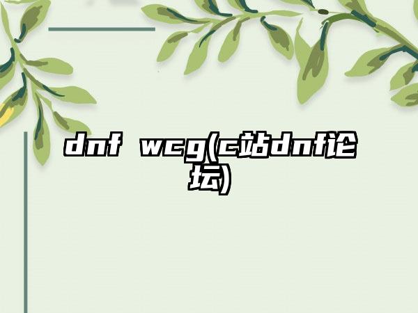 dnf wcg(c站dnf论坛)