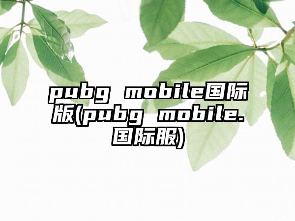 pubg mobile国际版(pubg mobile.国际服)