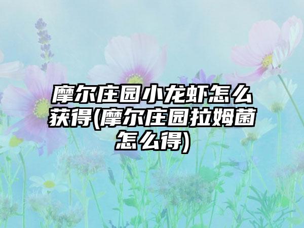 摩尔庄园小龙虾怎么获得(摩尔庄园拉姆菌怎么得)