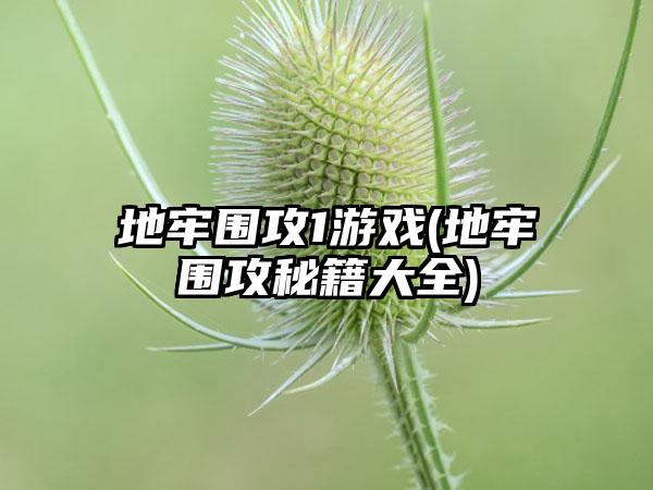 地牢围攻1游戏(地牢围攻秘籍大全)