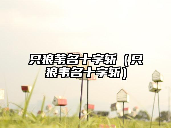 只狼苇名十字斩（只狼韦名十字斩）
