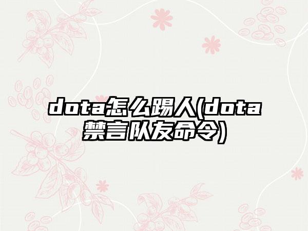 dota怎么踢人(dota禁言队友命令)