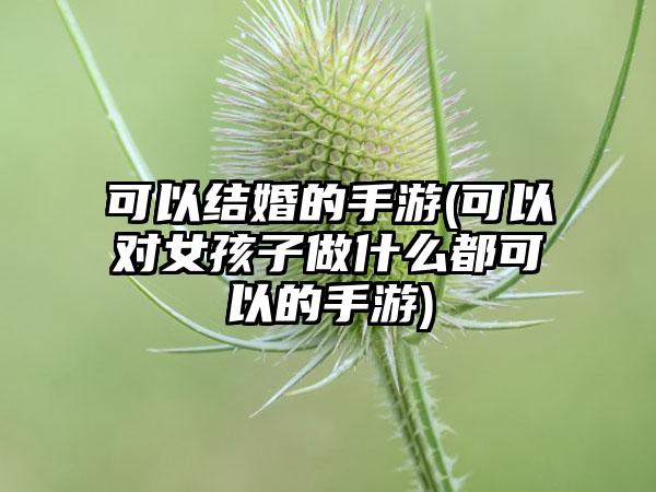 可以结婚的手游(可以对女孩子做什么都可以的手游)
